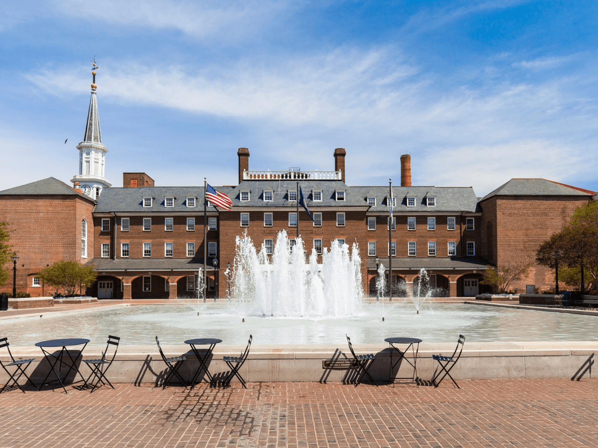 Alexandria Prepares for Special Elections as Local Officials, Parties Step Up